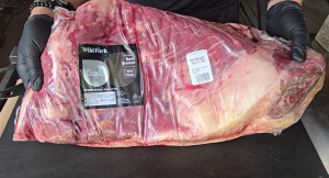 Unopened 19 lb whole packer brisket in vacuum-sealed packaging, ready to be trimmed and seasoned.