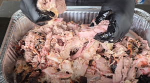 Gloved hands pulling apart smoked pork butt into tender shreds.